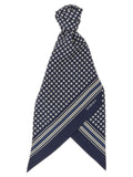 Blue Silk Foulard